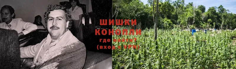 купить   Кострома  Каннабис THC 21% 